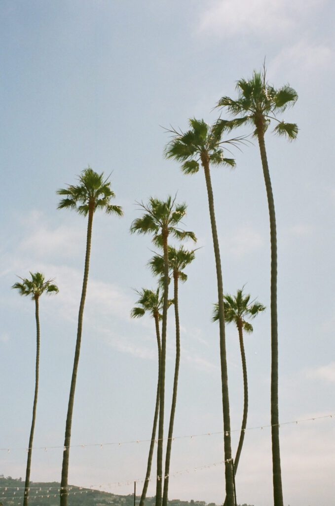 scripps seaside forum san diego wedding venue