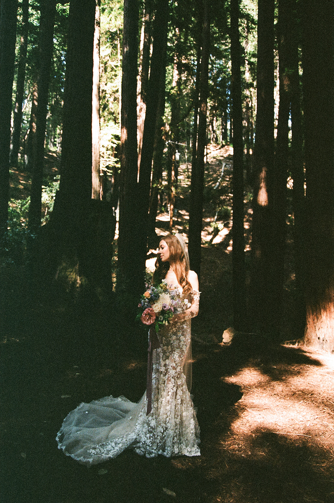 Redwoods, California Elopement on Film 