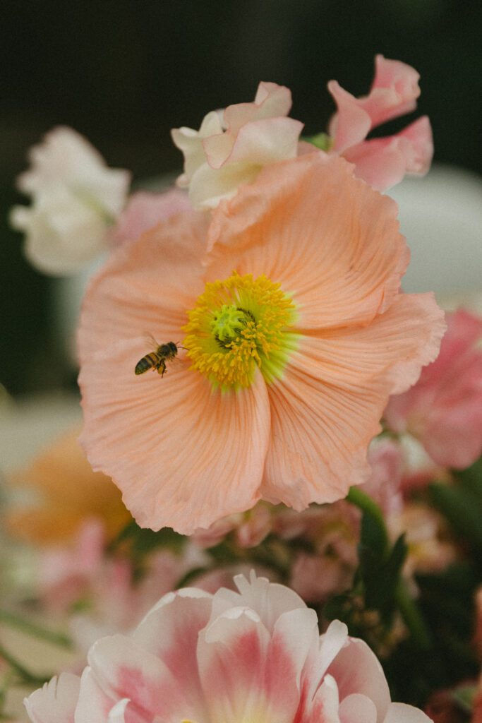 colony palms hotel wedding