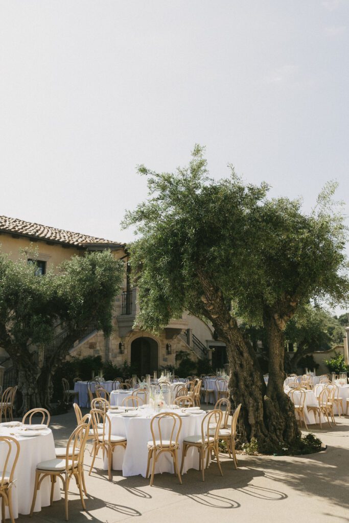 Courtyard reception under olive trees at Tuscan-style San Diego venue