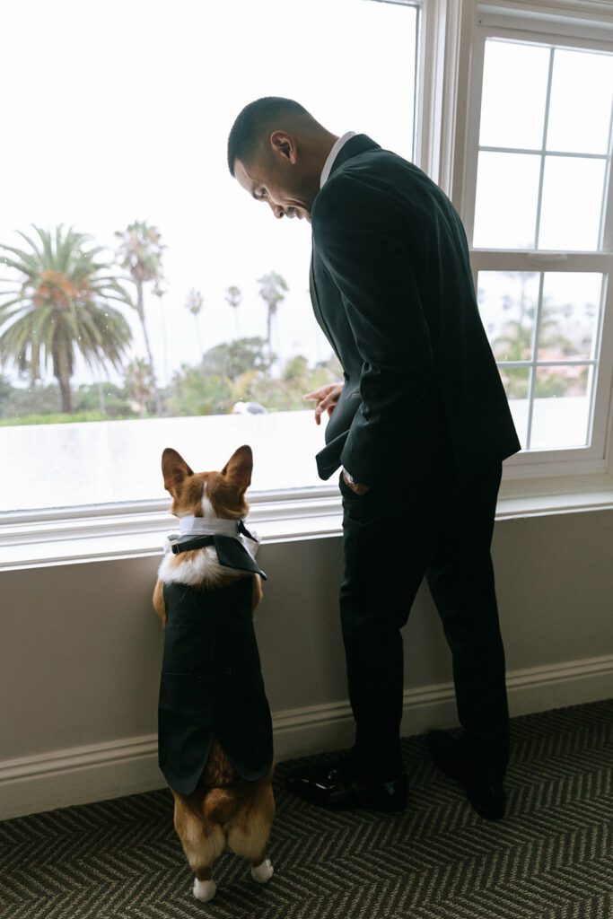A groom and his Corgi get ready at La Valencia Hotel La Jolla before his California elopement